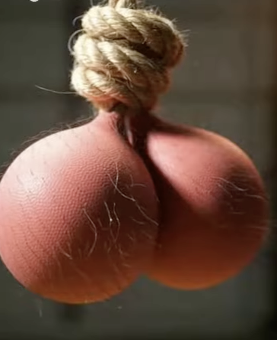 Artwork for Artificial Scrotum Sack